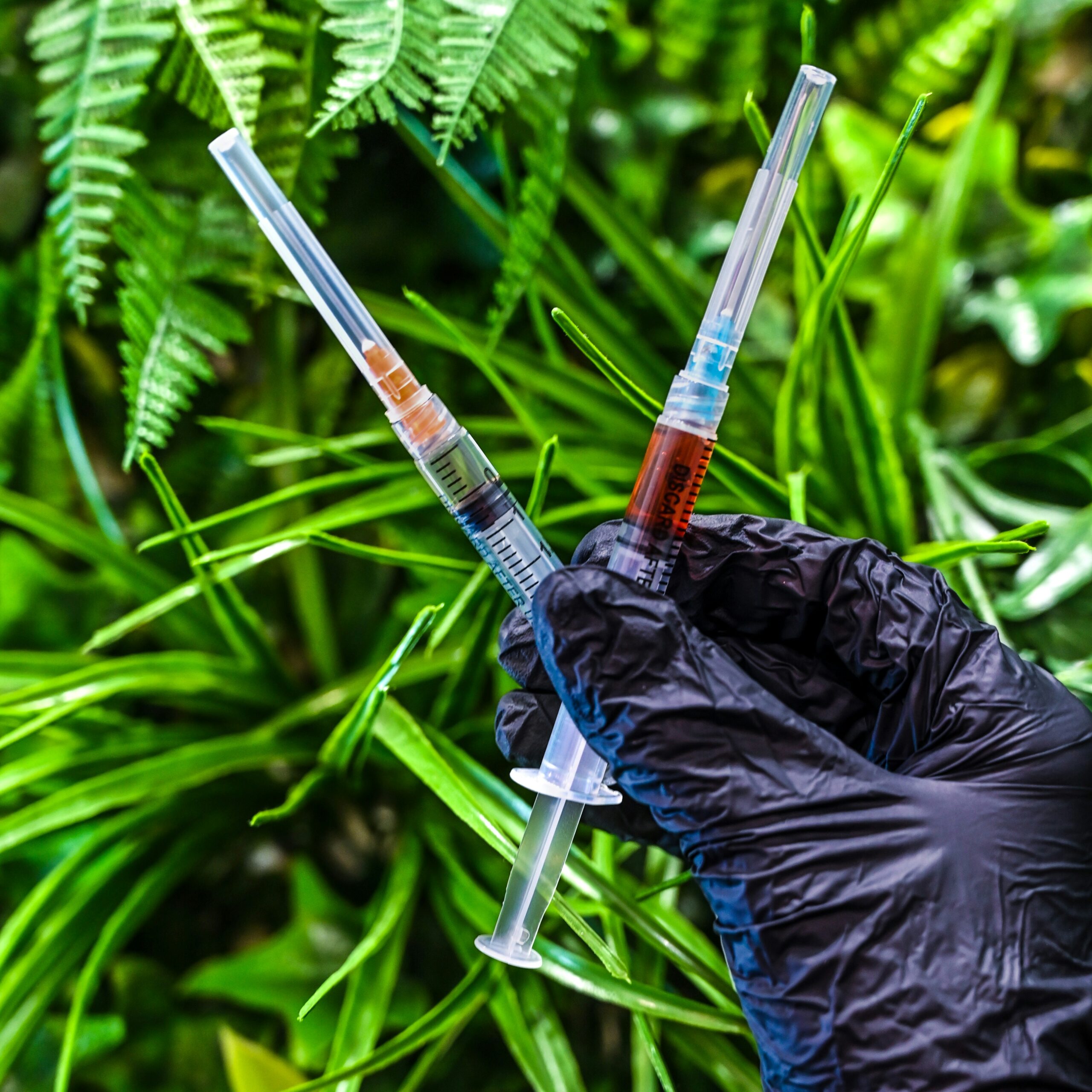 A gloved hand holding two sys in front of green plants